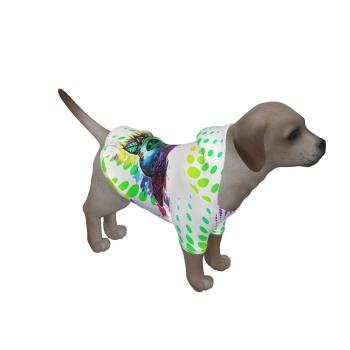 Hunde Hoodie "Chiquito"
